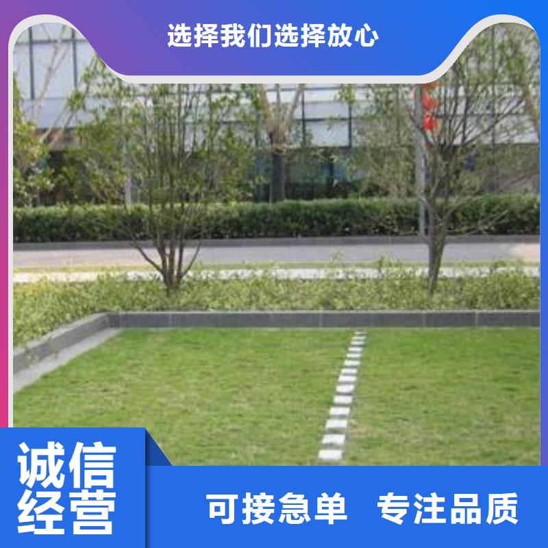 【植草格-三维土工网垫库存丰富】卓越品质正品保障