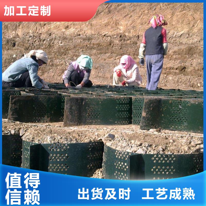 土工格室钢塑土工格栅的简单介绍质量优价格低