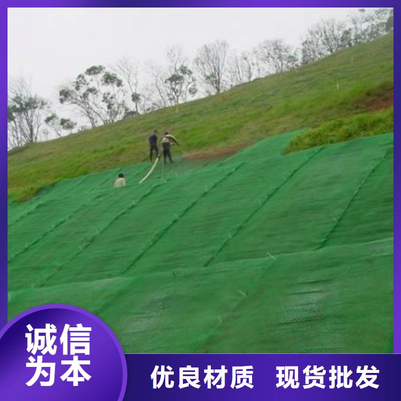 【三维植被网】钢塑土工格栅厂诚信经营出厂严格质检