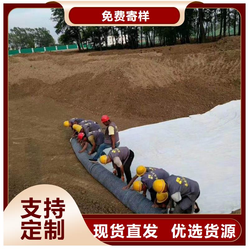 【防水毯】三维水土保护毯支持大小批量采购畅销当地