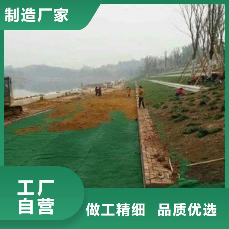 三维植被网钢塑土工格栅厂家48小时发货设备齐全支持定制