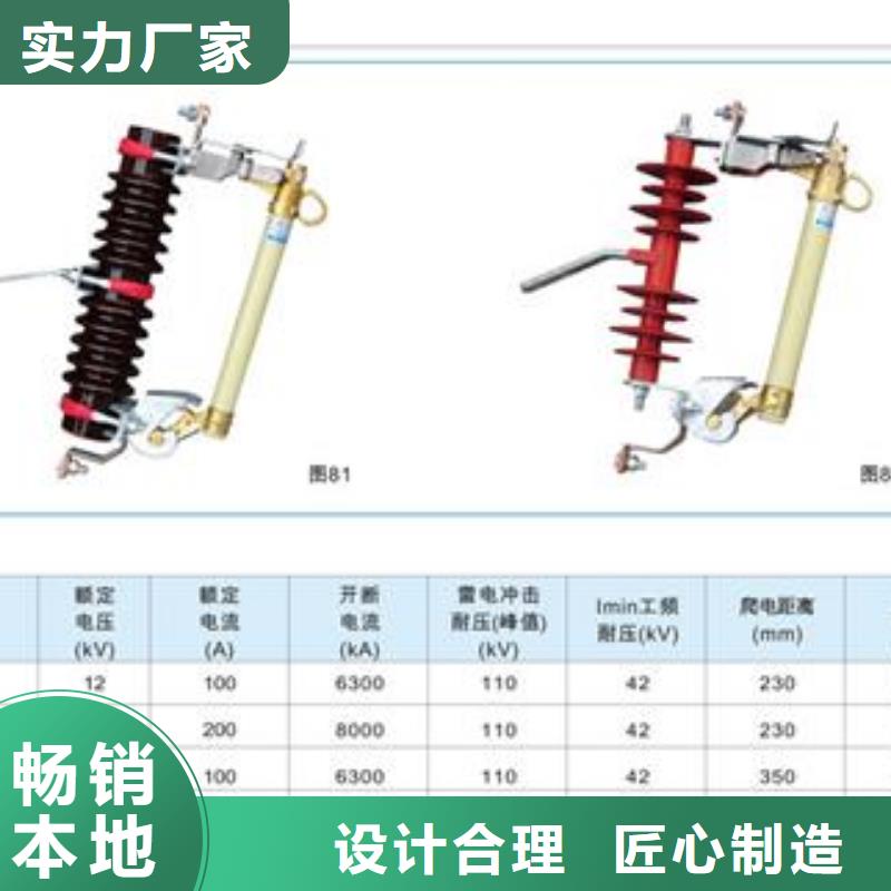 RW7-10/200A高压跌落式熔断器精心打造