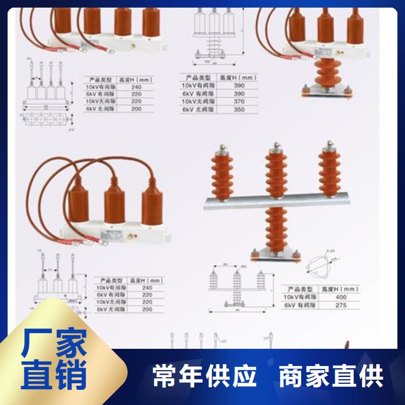 过电压保护器_高低压电器团队产地批发实体厂家支持定制