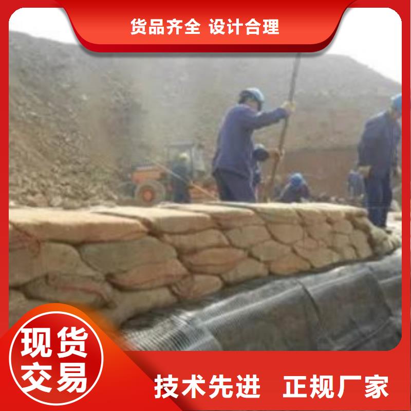 单向塑料格栅,【玻纤土工格栅】经销商多年经验值得信赖