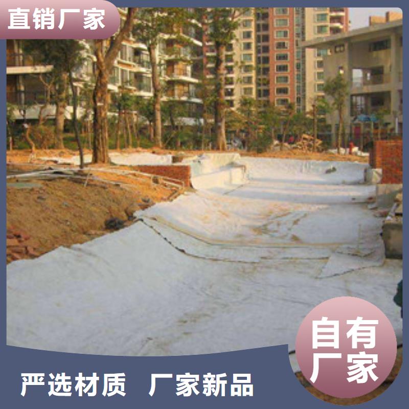 膨润土防水毯-塑料土工格栅出货及时讲信誉保质量