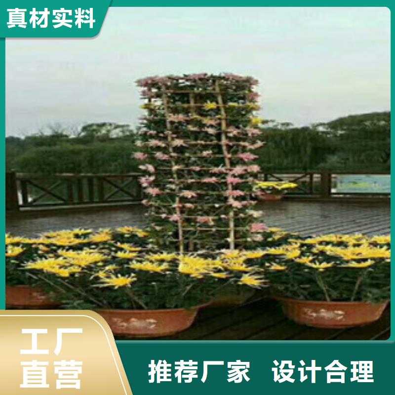 时令草花花海景观工程实力商家供货稳定快速生产