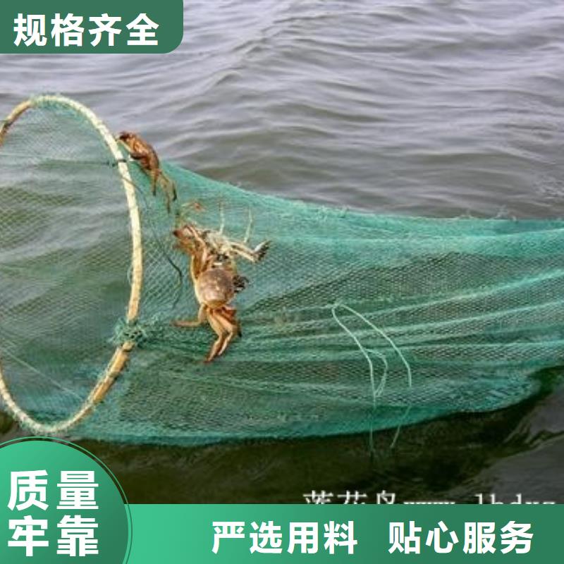 便宜的阳澄湖大闸蟹阳澄湖原产地同城品牌