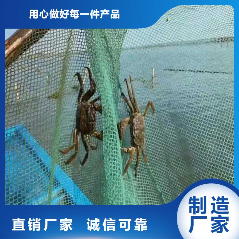 肇源县阳澄湖大闸蟹包邮本地经销商