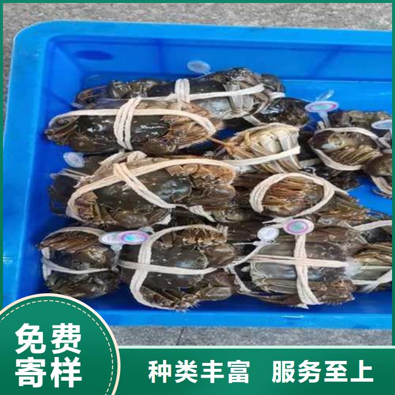 阳澄湖大闸蟹礼盒连锁店价格实在