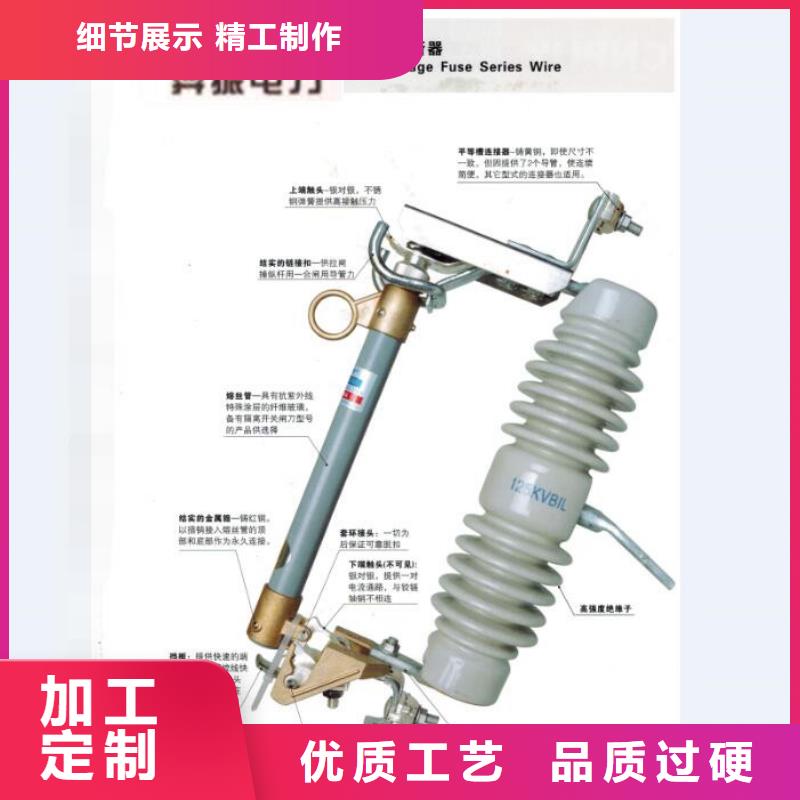 高压熔断器/PR(H)W8-12/100A合作共赢