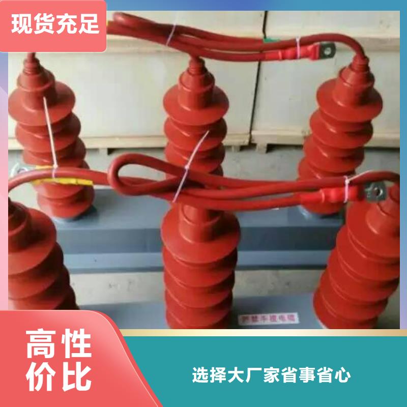 【组合式避雷器】TBP-C-7.6F/131专注品质