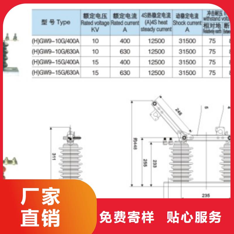 【隔离刀闸】HGW9-15G/200A按需定制