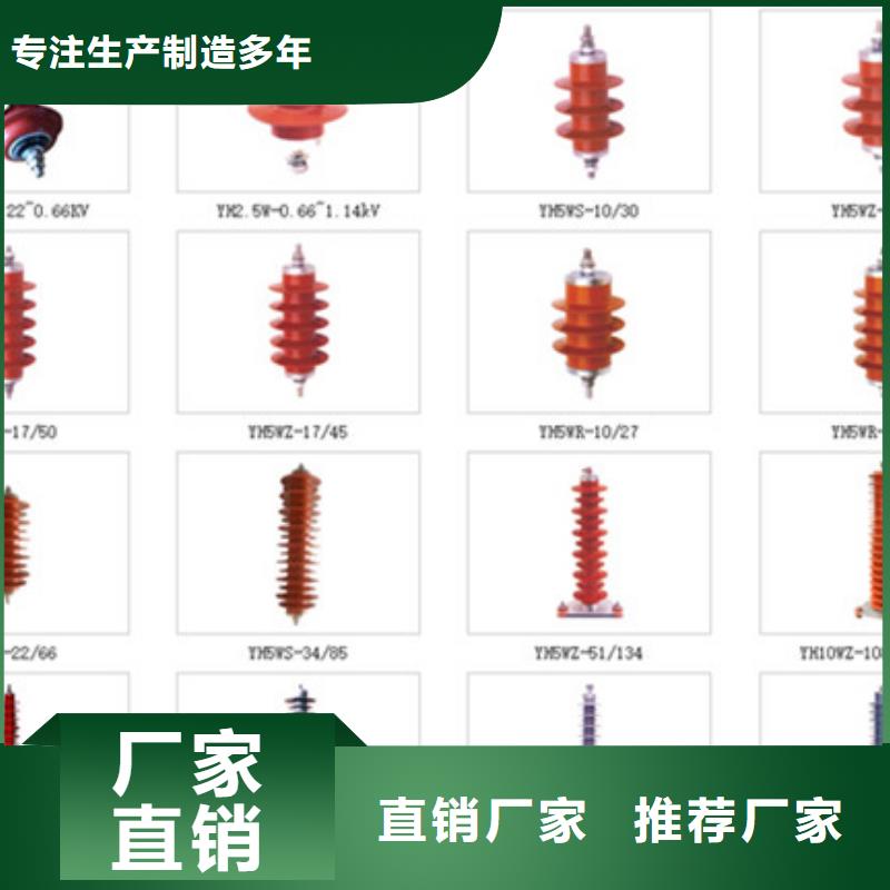 〖氧化锌避雷器〗YH5W-108/281【浙江羿振电气有限公司】订购