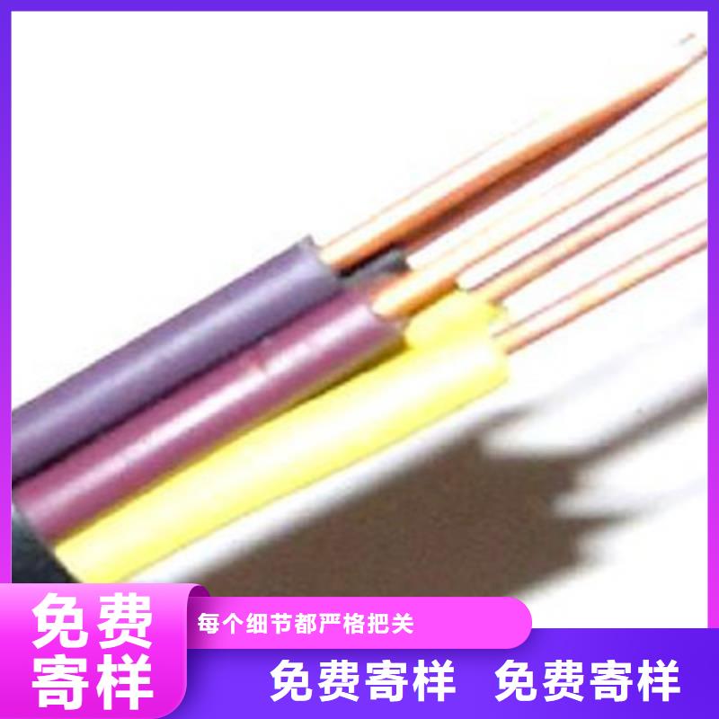 RVS2X0.75软芯通讯电缆、RVS2X0.75软芯通讯电缆厂家直销-库存充足同城品牌