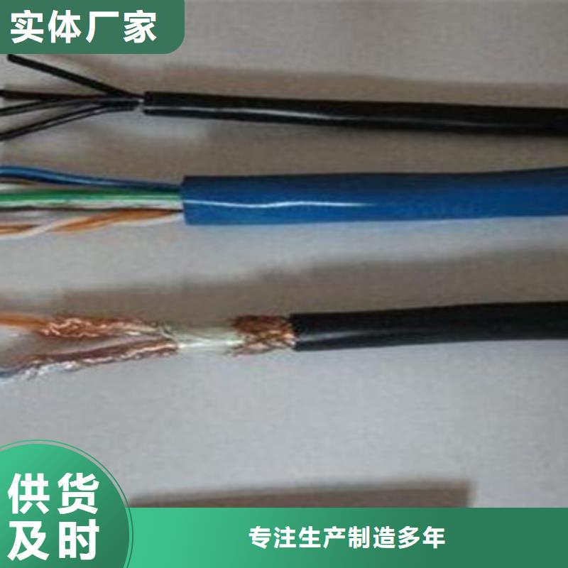 阻燃计算机电缆ZR-DJYJP2V1X2X0.75实力厂商