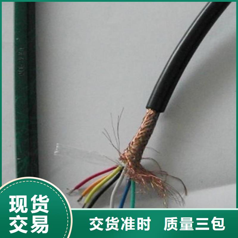 计算机屏蔽电缆BIA-JYPV-2R可加工设计好产品价格低