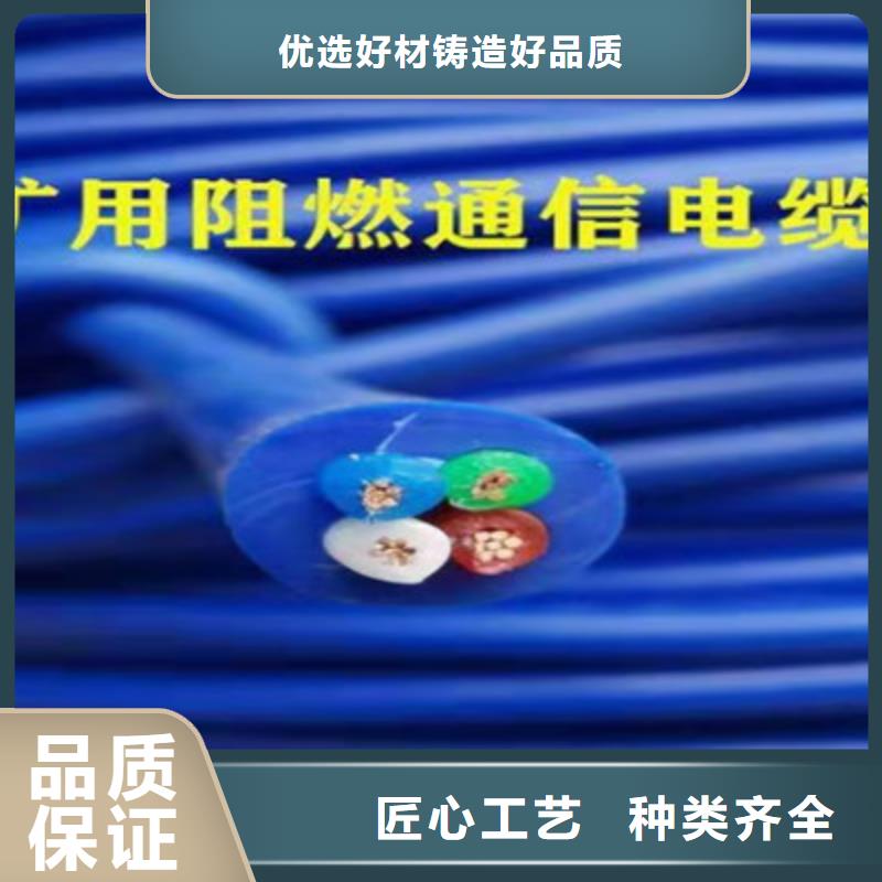 矿用通信电缆-煤矿用阻燃信号电缆多年经验值得信赖好产品价格低