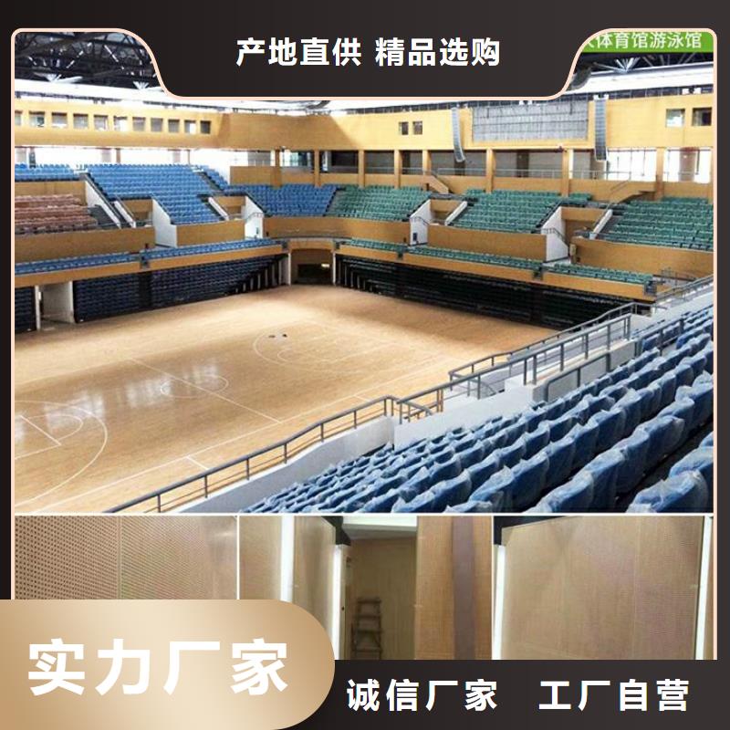 汉阳区集团公司体育馆声学改造价格--2024最近方案/价格支持定制加工