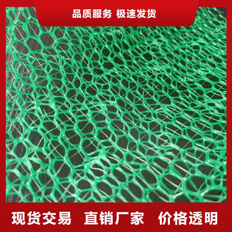 三维植被网玻璃纤维土工格栅免费获取报价买的放心安兴用的舒心