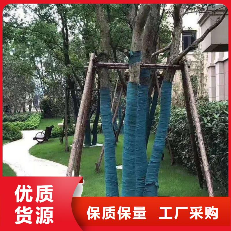 裹树布双向土工格栅订购附近供应商