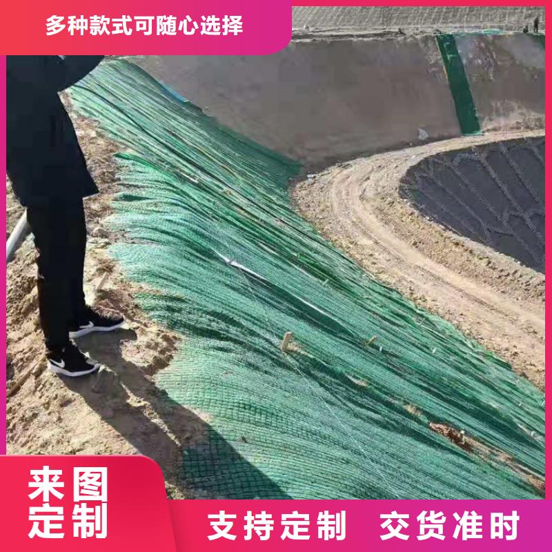 植物纤维毯生态毯当地公司