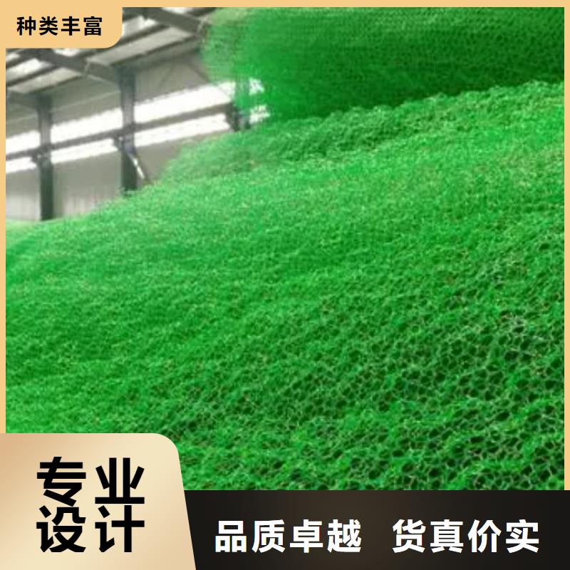 【三维植被网植草格放心选购】当地货源