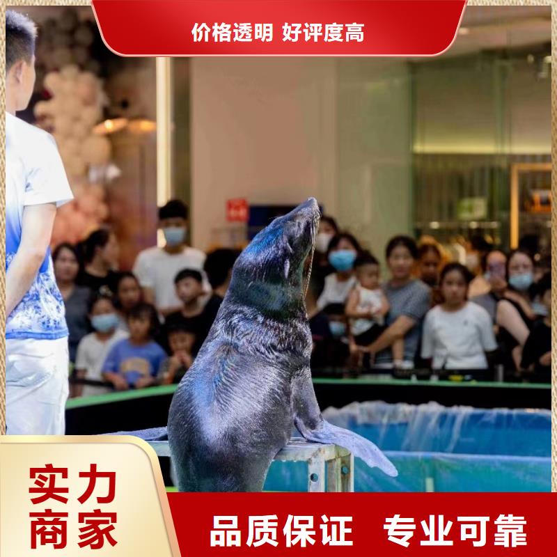 【海洋主题动物表演】_水族海洋展多家服务案例正规团队