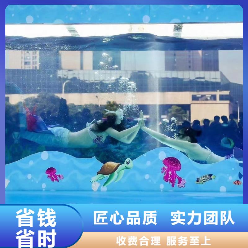 海洋主题动物表演马戏团表演质优价廉随叫随到