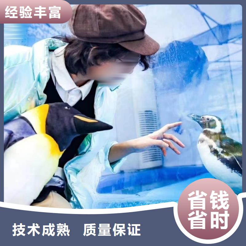 海洋主题动物表演海洋展租赁快速讲究信誉