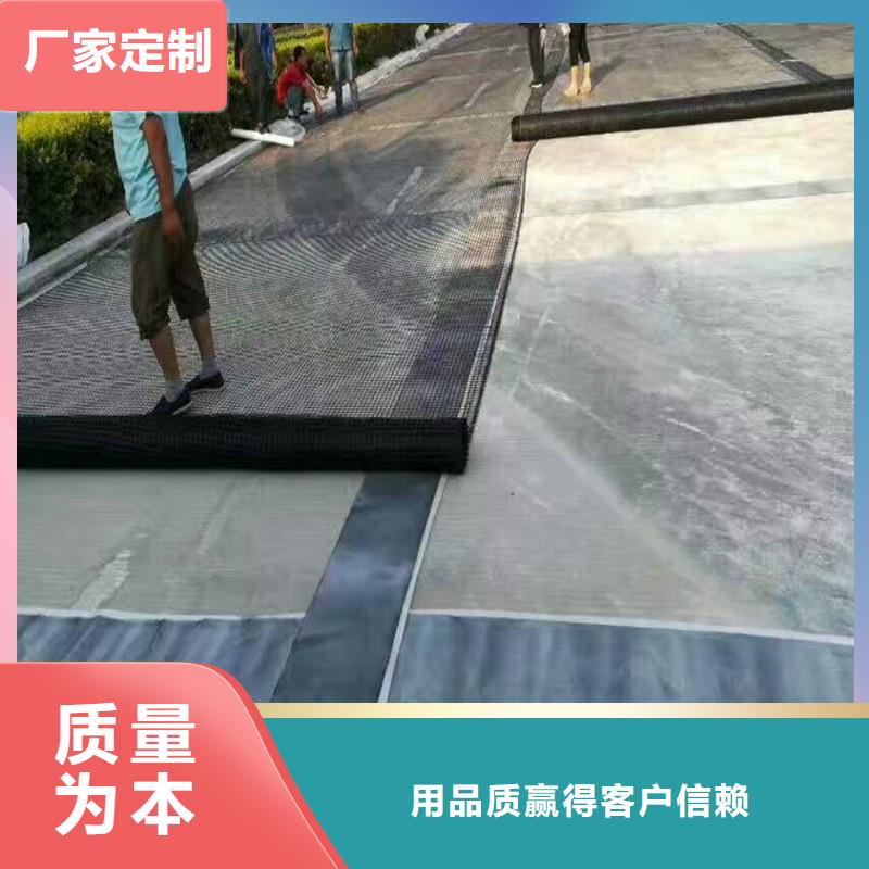 双向塑料土工格栅价格符合行业标准