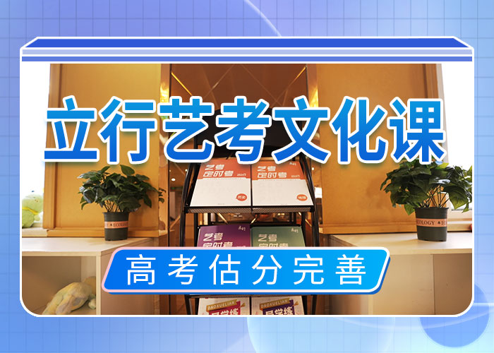 艺考生文化课辅导集训性价比高的本地货源