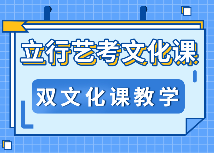 艺考生文化课集训冲刺哪个好艺考生文化课专用教材本地公司