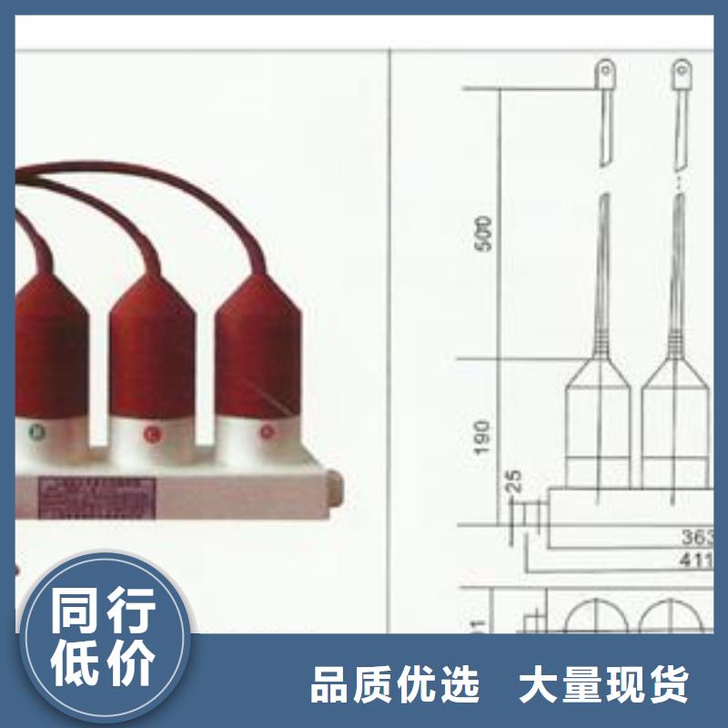 【过电压保护器-销售高低压电器客户满意度高】本地生产厂家