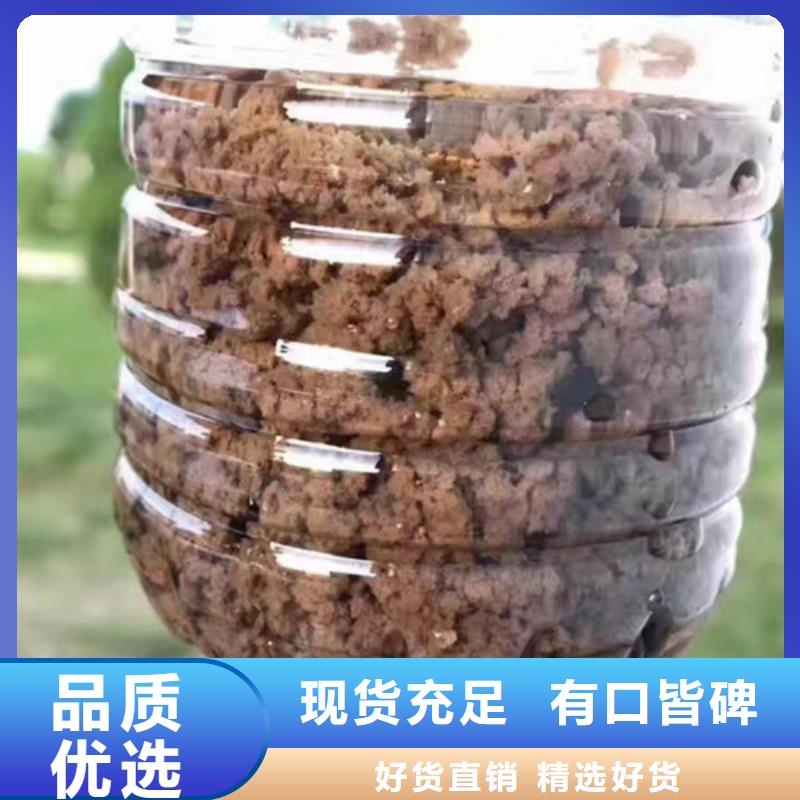 阳离子聚丙烯酰胺PAM阳离子含量多少附近供应商