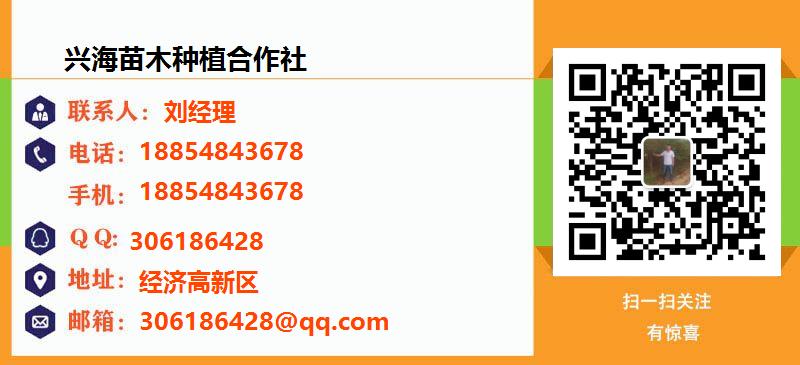 [台州]兴海苗木种植合作社名片