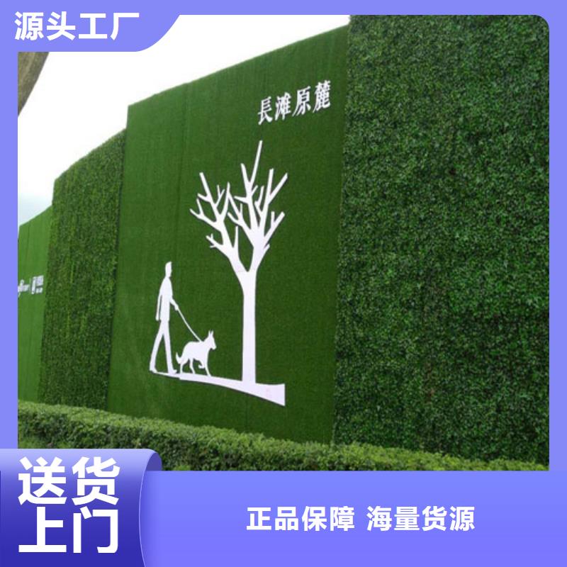 阿克苏绿色草坪围挡安装方便附近厂家