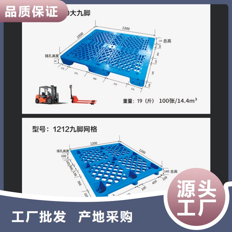 水果冷库塑料托盘生产厂家价格有优势