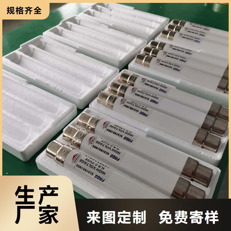 保护电压互感器用高压限流熔断器XRNP1-40.5/2厂家高标准高品质