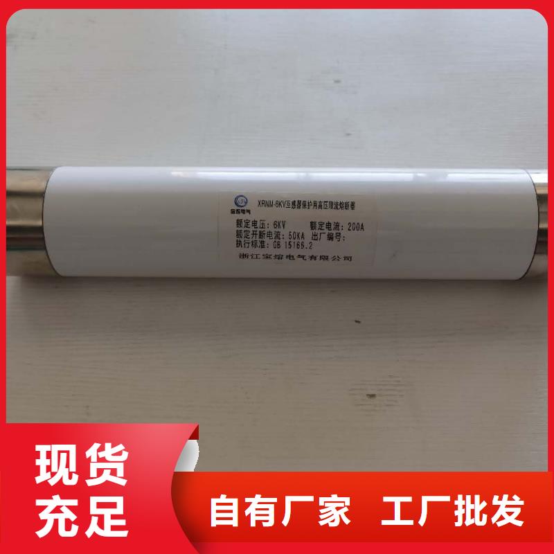 变压器保护用高压限流熔断器XRNT1-10KV/80A选型多种款式可随心选择