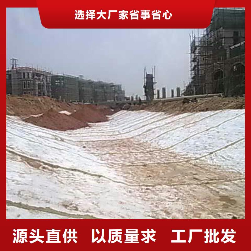 钠基膨润土防水毯规格型号齐全工厂价格