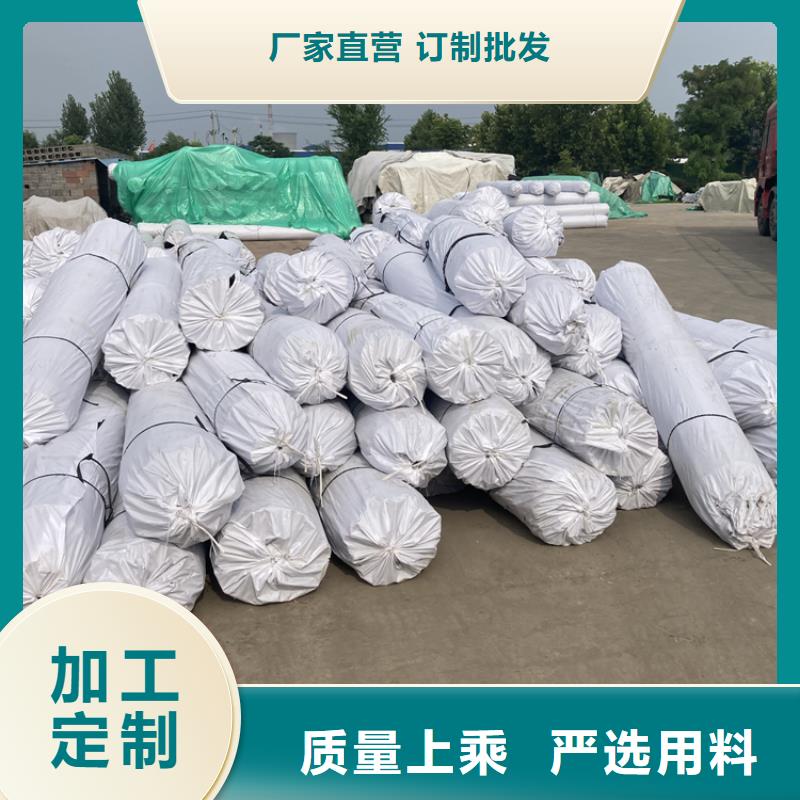 双向土工格栅凸结点钢塑格栅施工方法工艺精细质保长久