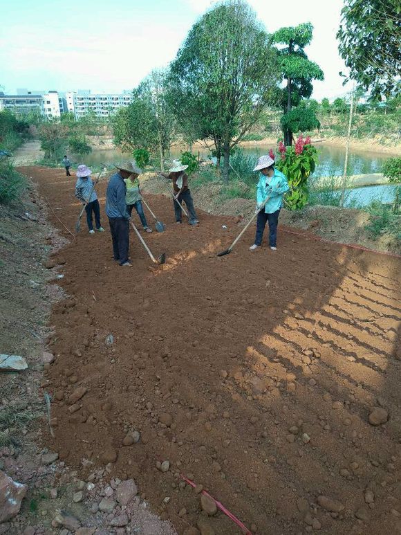 聚脲喷涂防腐防水维修土壤固化剂种植基地